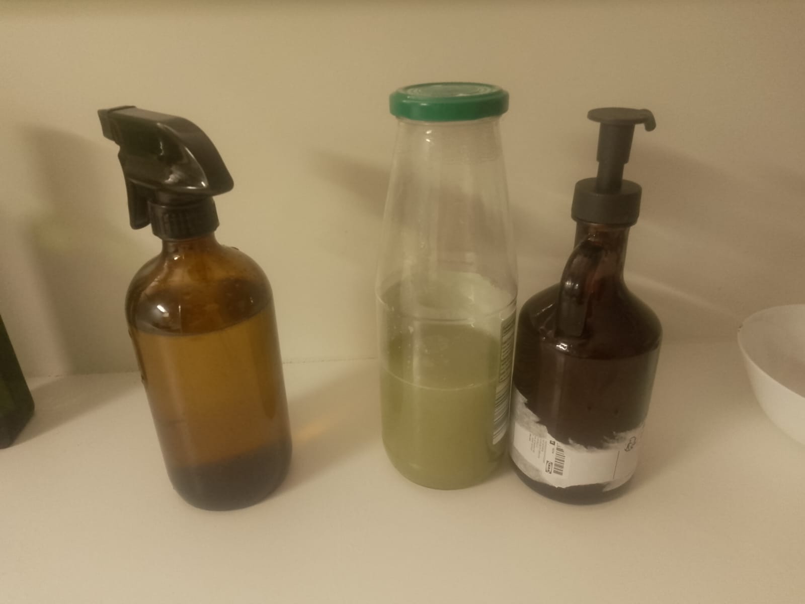 Mes recettes végétariennes et zéro déchet (alimentation et entretien)